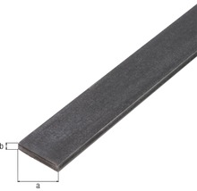 KAISERTHAL Platte stang 20x4 mm staal 300 cm-thumb-1