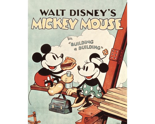 effectief Keer terug Destructief DISNEY Schilderij canvas Mickey Mouse Building 40x50 cm kopen! | HORNBACH
