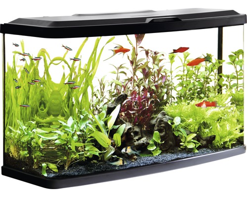 Pa Geschikt Blijkbaar FLUVAL Aquarium Vue LED zwart 87 L, 76x30x46 cm kopen! | HORNBACH