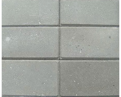 EXCLUTON Betontegel met facet grijs 15x30x4,5 cm