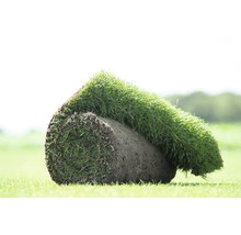 Graszoden Premium siergras grasmat 250 x 40 cm. Bestellen per hele rol = 1 m² (minimale besteleenheid is 30 m²)-thumb-0