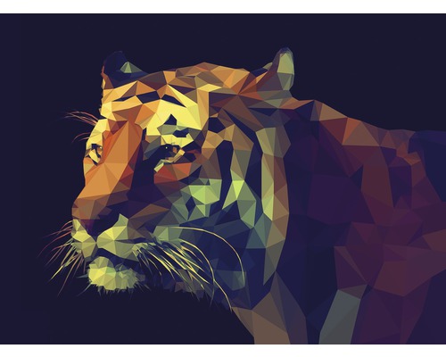 PURE LIVING Schilderij canvas Colourful Tiger 84x116 cm