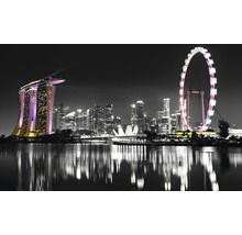 Fotobehang vlies Singapore skyline 312x219 cm-thumb-0