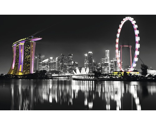 Fotobehang vlies Singapore skyline 312x219 cm-0