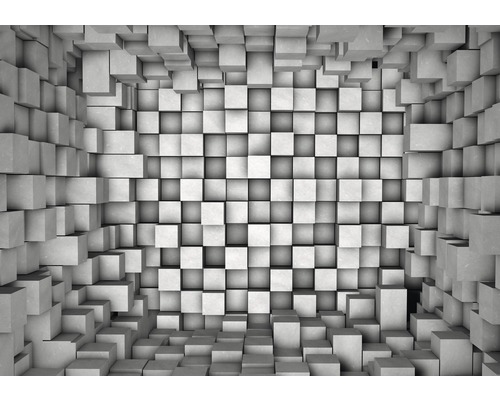 Modernisering Afwijzen afvoer Fotobehang vlies 3D Blokken 312x219 cm kopen! | HORNBACH
