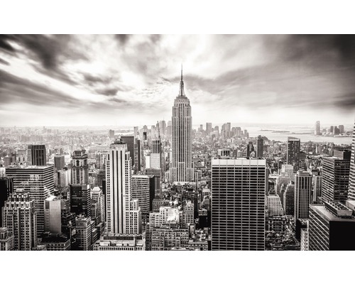 Jeugd doolhof Instrueren Fotobehang vlies Skyline New York 250x104 cm kopen! | HORNBACH