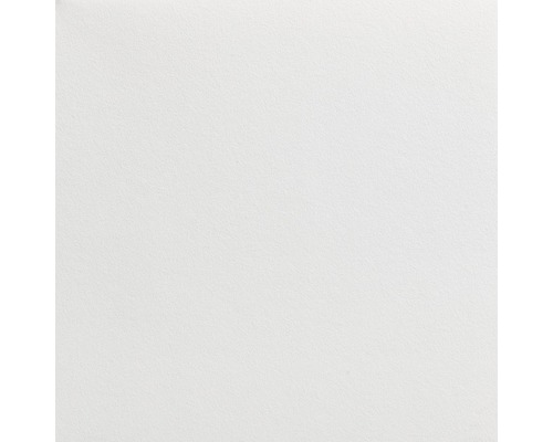 LECO Schildersvlies voorgeschilderd 130gr/m² wit 1x50 m