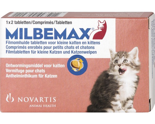 milbemax kat klein en kittens kopen bij hornbach